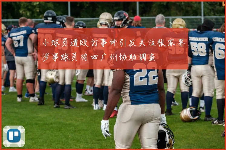 小球员遭殴打事件引发关注张家界涉事球员将回广州协助调查